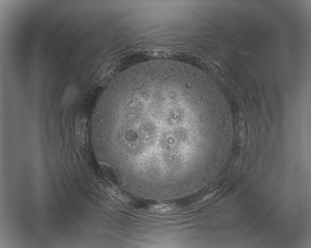 X0000057560511200509231203