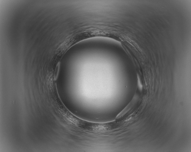 X0000057560513200509231203