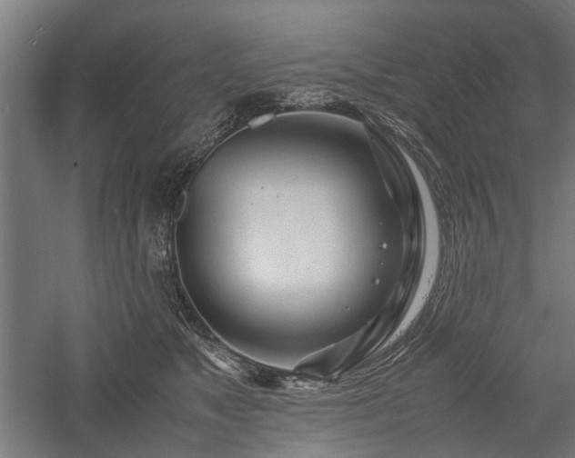 X0000057560517200509231203