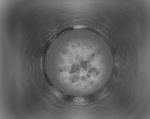 X0000057560519200509231202