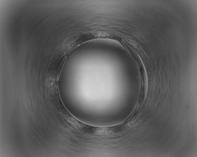 X0000057560521200509231202