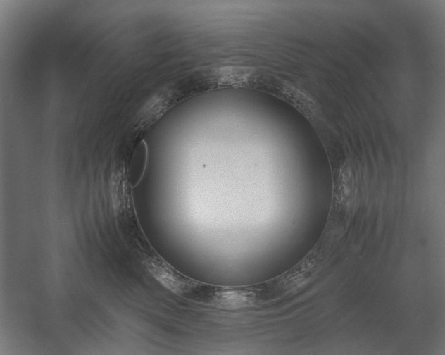 X0000057560522200509231202