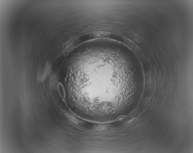 X0000057560523200509231202