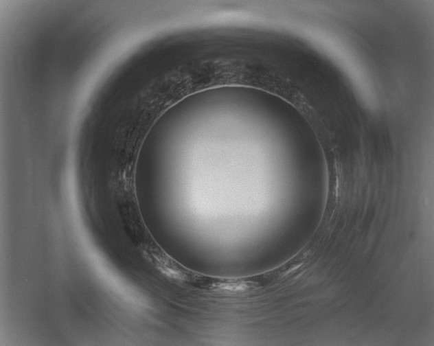 X0000057560524200509231202