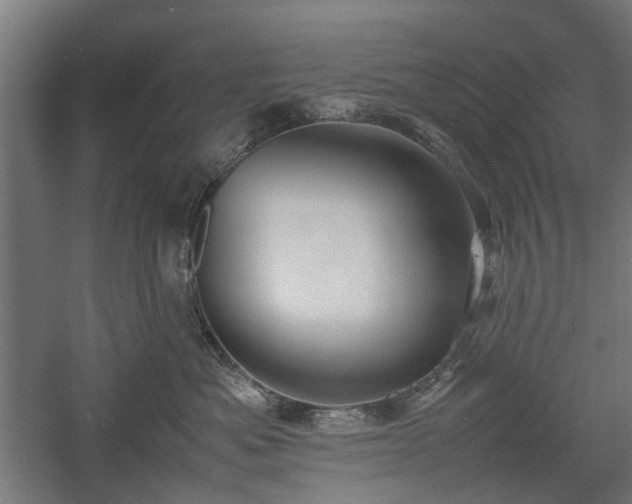 X0000057560525200509231202