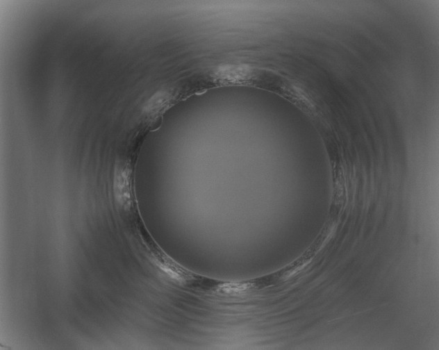 X0000057560526200509231202