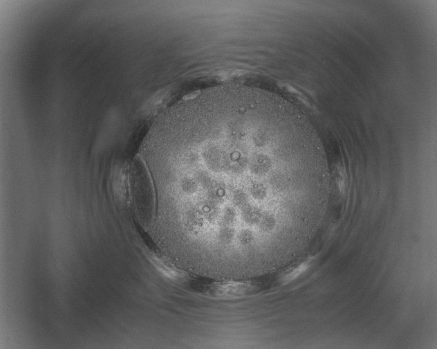 X0000057560527200509231202