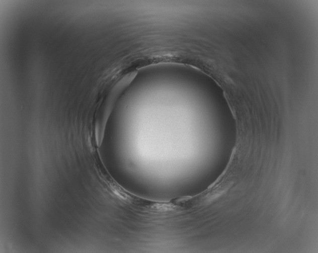 X0000057560528200509231202