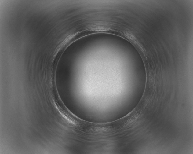 X0000057560533200509231202