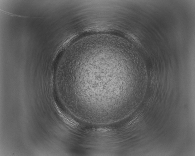 X0000057560542200509231202