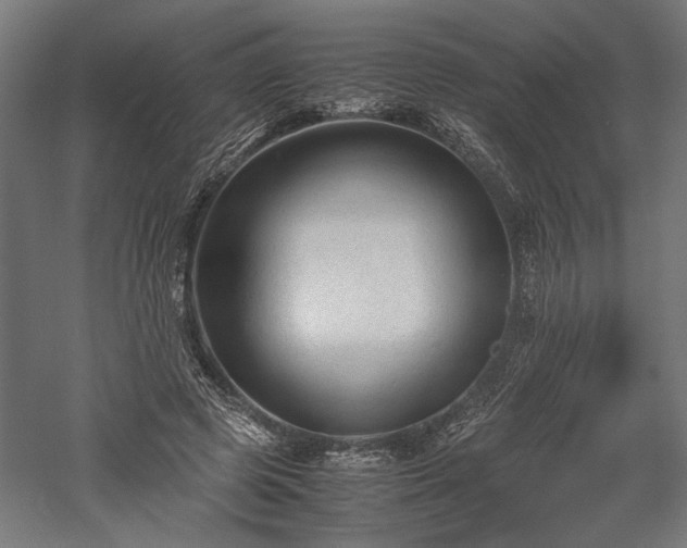 X0000057560545200509231202