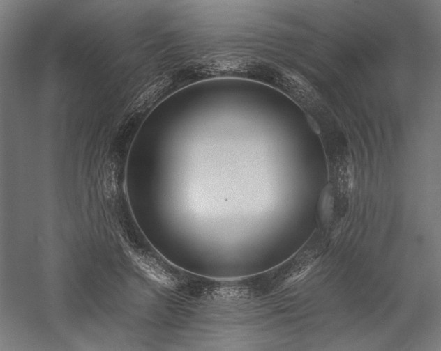 X0000057560546200509231202