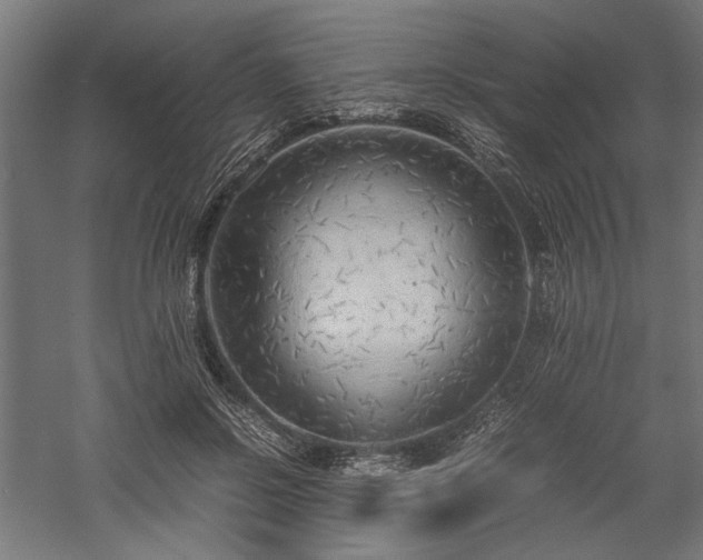 X0000057560550200509231202