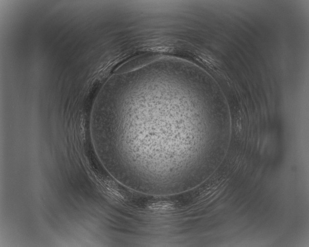 X0000057560551200509231202