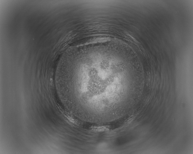 X0000057560553200509231202