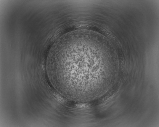 X0000057560561200509231202