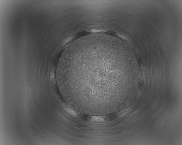 X0000057560573200509231202