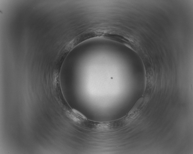 X0000057560574200509231202