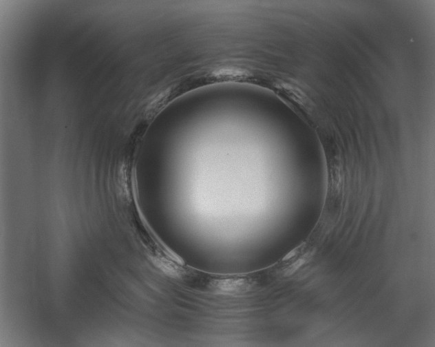 X0000057560575200509231202