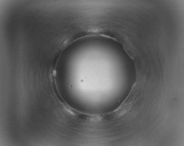 X0000057560576200509231202