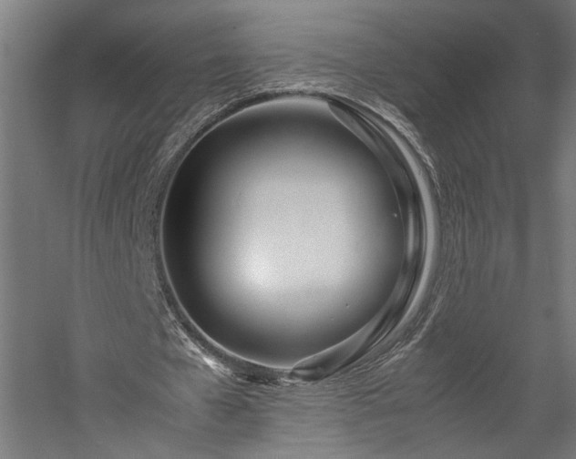 X0000057560577200509231201