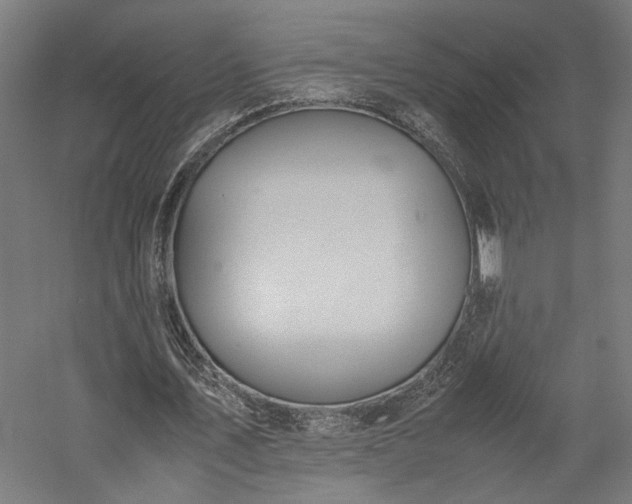 X0000057560579200509231201