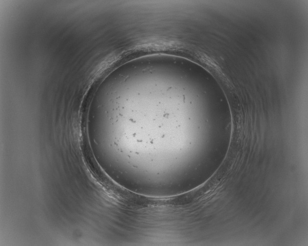 X0000057560582200509231201