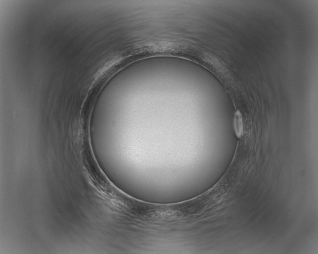 X0000057560583200509231201