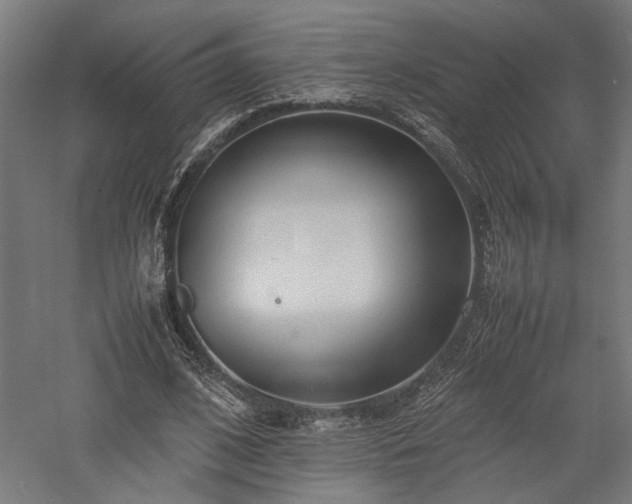 X0000057560584200509231201