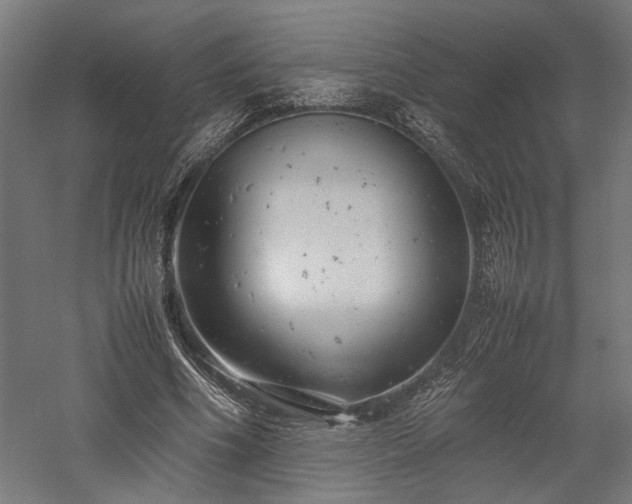 X0000057560586200509231201