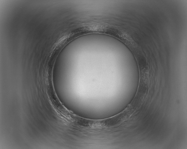 X0000057560587200509231201