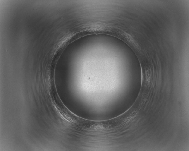 X0000057560588200509231201