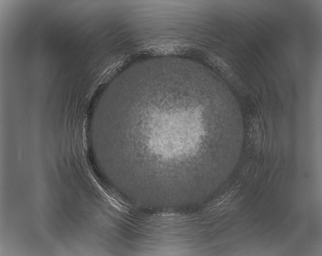 X0000057560590200509231201