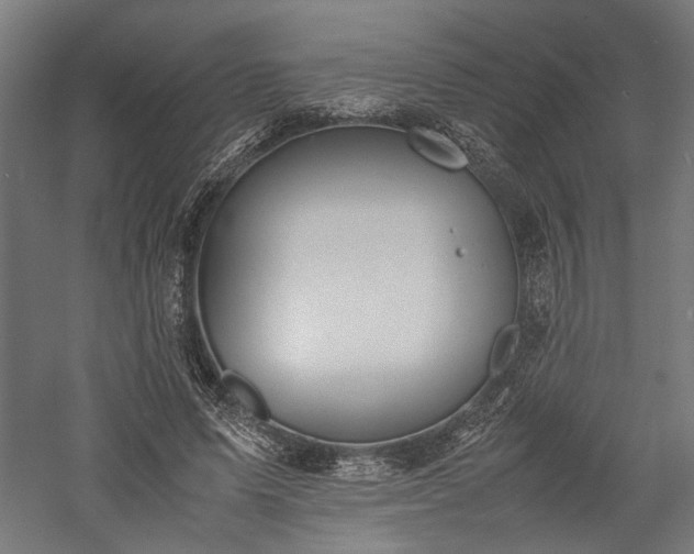 X0000057560591200509231201