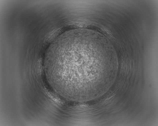 X0000057560594200509231201