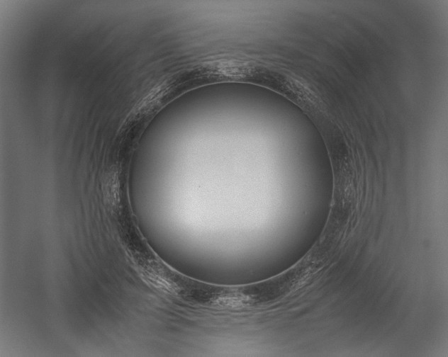 X0000057560595200509231201