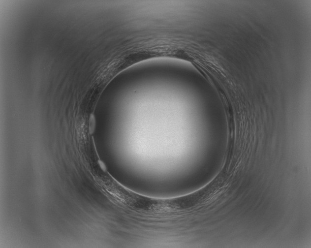 X0000057560597200509231201