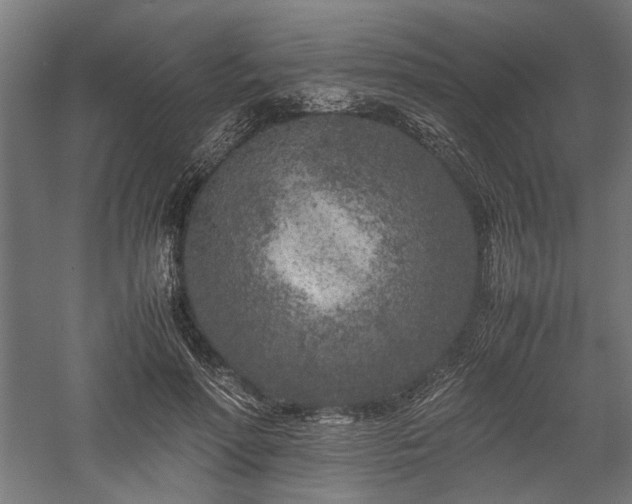 X0000057560598200509231201