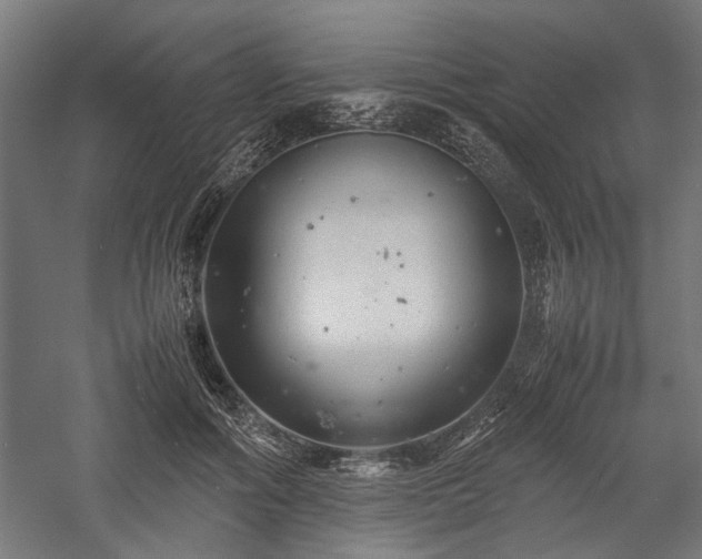 X0000057560602200509231201