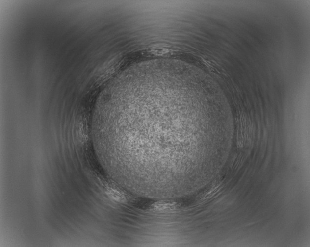 X0000057560606200509231201