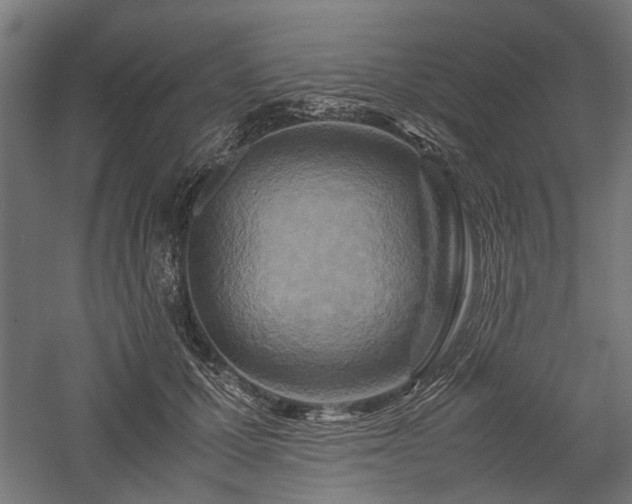 X0000057560607200509231201