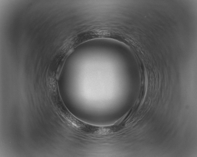 X0000057560609200509231201