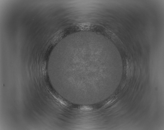 X0000057560610200509231201