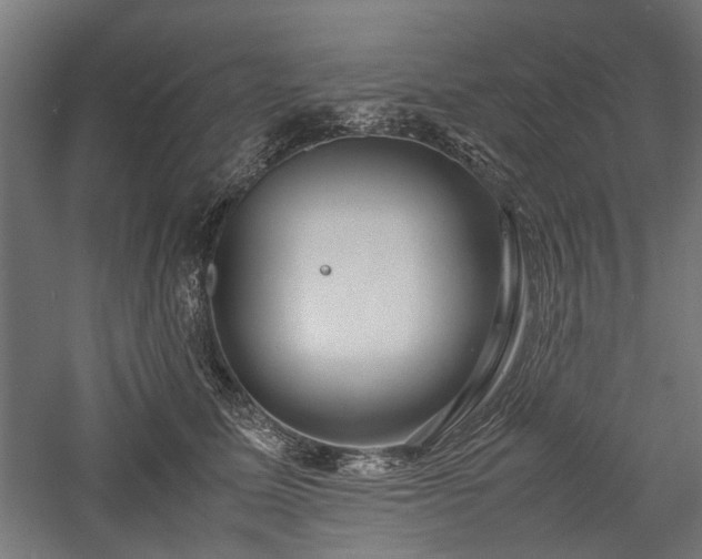 X0000057560611200509231201