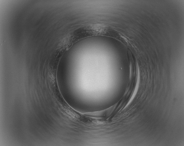 X0000057560613200509231201