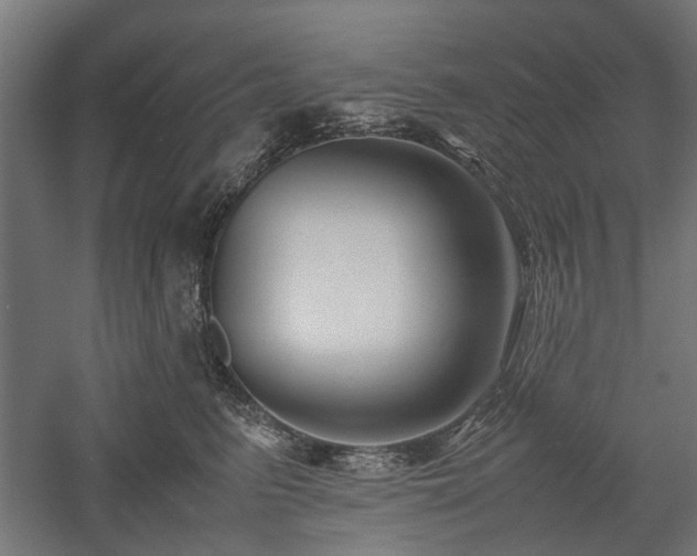 X0000057560615200509231201