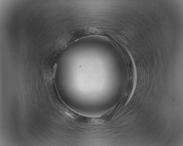 X0000057560617200509231201