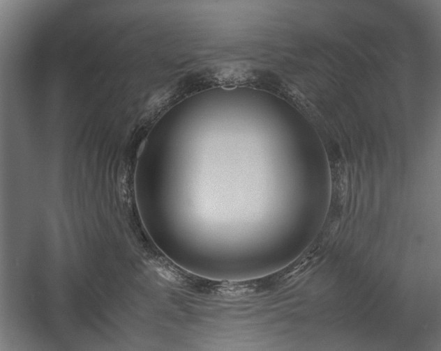 X0000057560619200509231201