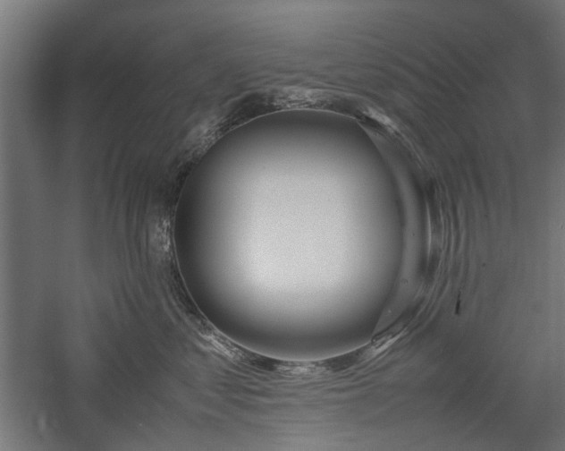 X0000057560621200509231201