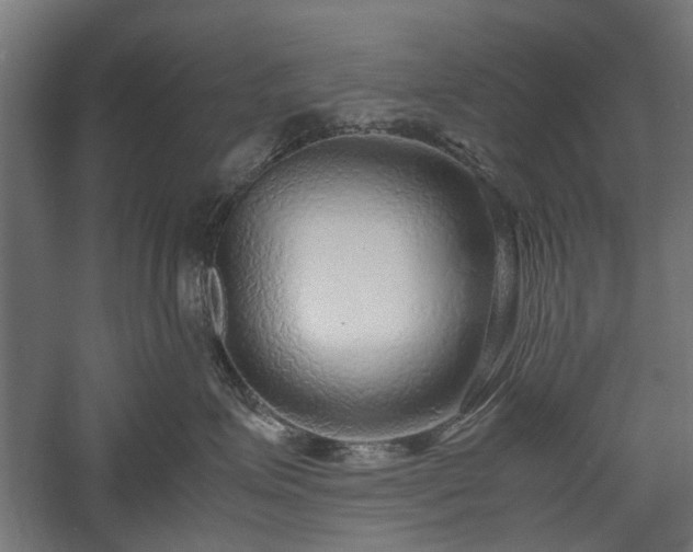 X0000057560623200509231201